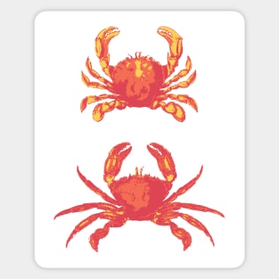 Two Crabs Sticker
